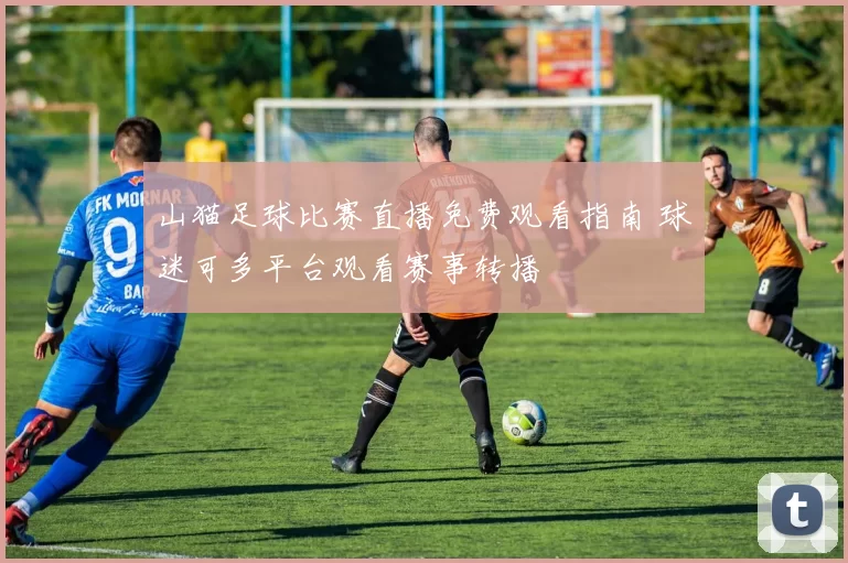 山猫足球比赛直播免费观看指南 球迷可多平台观看赛事转播