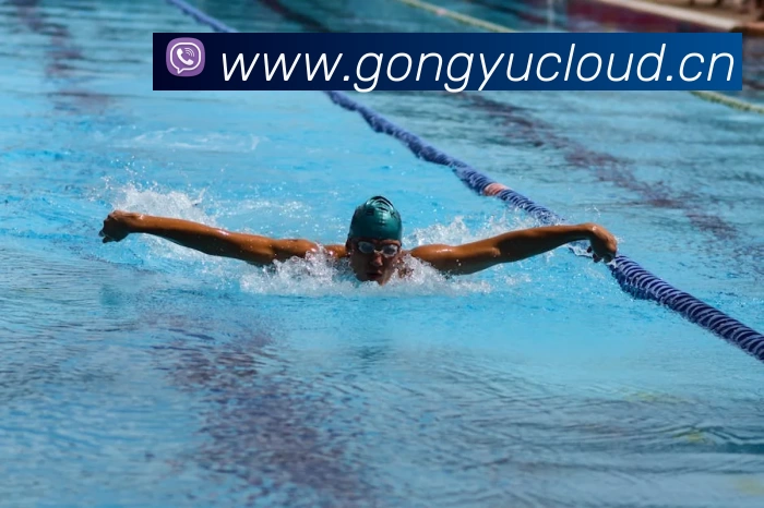 App Interface Preview